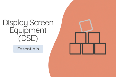 Display Screen Equipment (DSE) (DSE01)