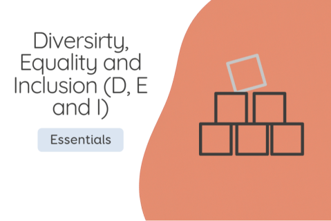 Diversity, Equality and Inclusion (DE&I) (DEI01)