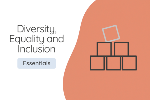 Diversity, Equality and Inclusion (DE&I) (DEI01)