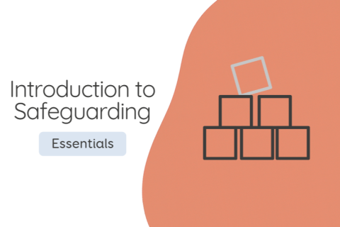 Introduction to Safeguarding (INTROSG-01)