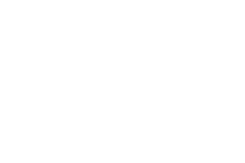 Introduction to sonnen