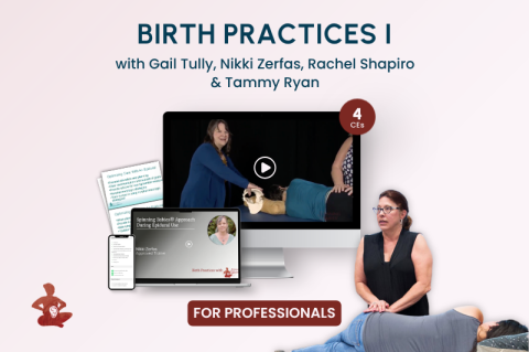 Birth Practices with Spinning Babies® (C2020)