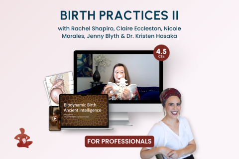 Birth Practices II with Spinning Babies® (C2022)