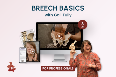Breech Basics Online (BB)