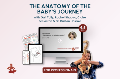 The Anatomy of the Baby's Journey (C2021)