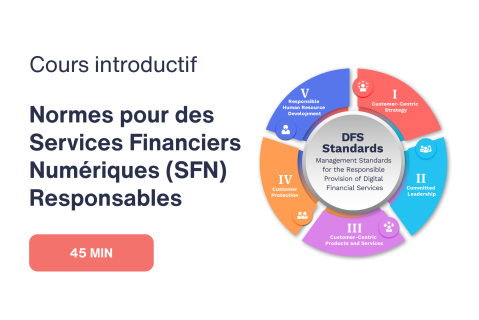 Cours d'introduction aux Normes des Services Financiers Numériques (SFN) Responsables (DFS102)