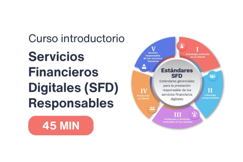 Curso de introducción a los Estándares de Servicios Financieros Digitales (SFD) Responsables (DFS103)