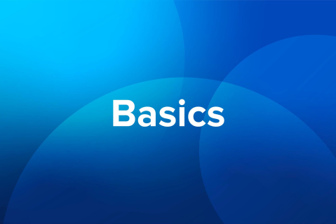 Basics (A01)