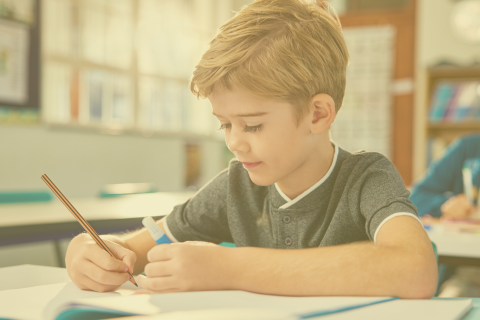 Adoption and Classroom Success: Beyond The Basics