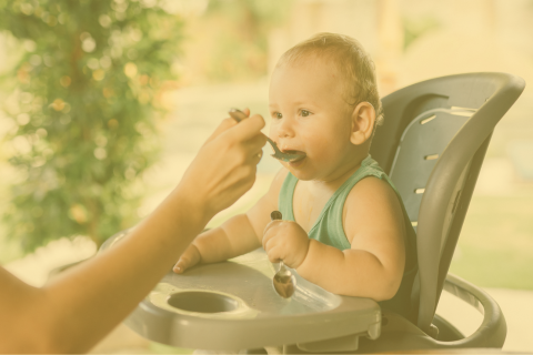 A Parent’s Stage-by-Stage Nutrition Guide: Baby (0-18 Months Old)