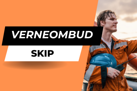 Verneombud Skip (1071)