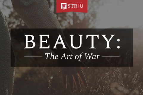 Beauty: The Art of War