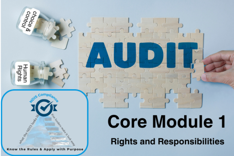 Preparing for Audit: Core Module 1 -  Division 1: Rights and responsibilities (MLM_audit 2__L4)