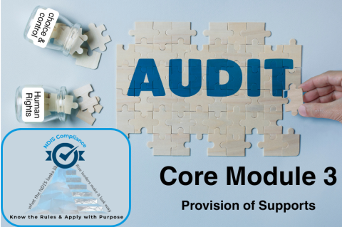 Practice Standard Core Module 1: Division 3 - Provision of supports (MLM_Audit4_L4)