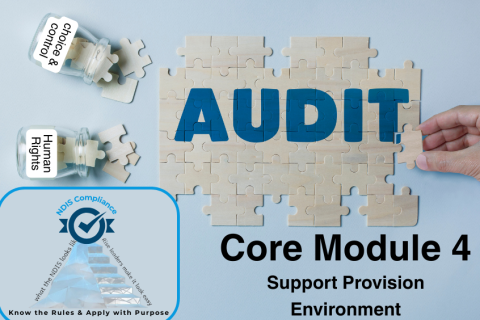 NDIS Practice Standard Core Module 1: Division 4 - Provision of supports environment (PS_4_CM4)
