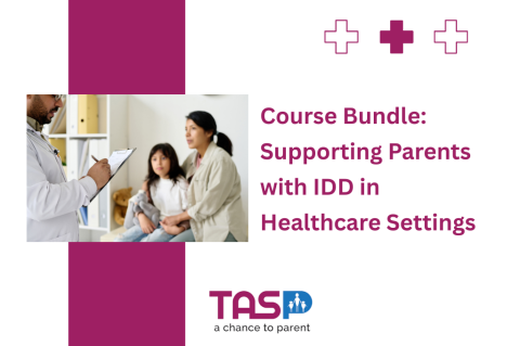 Course Bundle: Supporting Parents with IDD in Healthcare Settings (TASP2025)