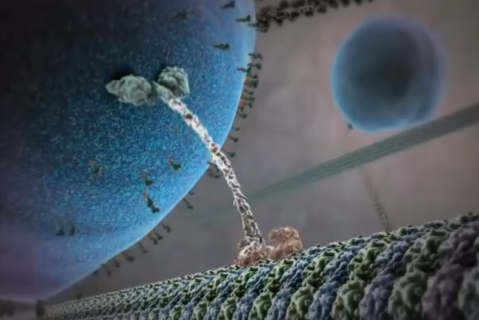 Cell Biology 101: Introduction to Technology, Target Customers, Applications (CB-101)
