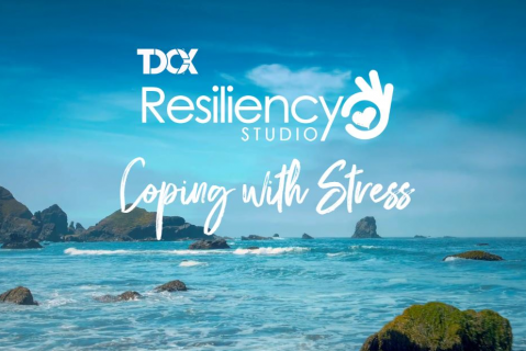 WBT: L&D - Coping with Stress (2020-TD0024)