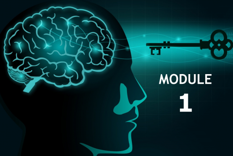 Mastering the Mindset & Skills of Transformational Leaders - MODULE 1 (LIM-LP01)