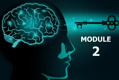 Mastering the Mindset & Skills of Transformational Leaders - MODULE 2 (LIM-LP02)