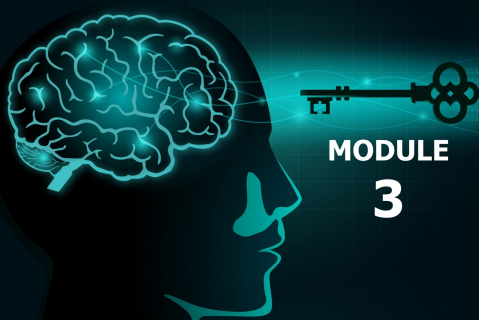 Mastering the Mindset & Skills of Transformational Leaders - MODULE 3 (LIM-LP03)