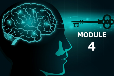 Mastering the Mindset & Skills of Transformational Leaders - MODULE 4 (LIM-LP04)