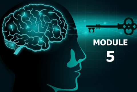 Mastering the Mindset & Skills of Transformational Leaders - MODULE 5 (LIM-LP05)