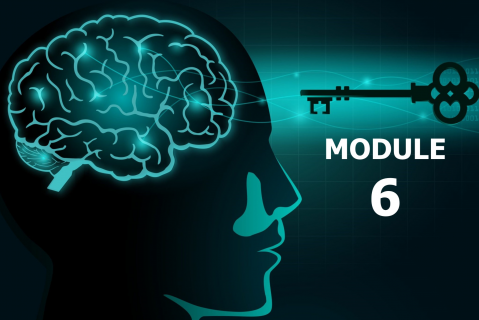 Mastering the Mindset & Skills of Transformational Leaders - MODULE 6 (LIM-LP06)