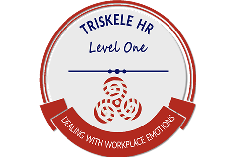 Dealing With Workplace Emotions (BTE-B05)