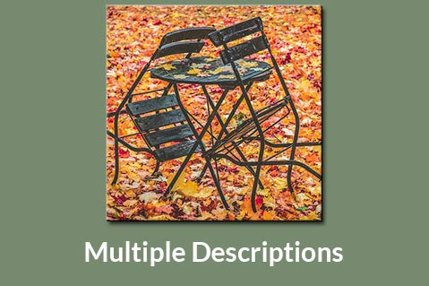 Multiple Descriptions (BASE-P08)