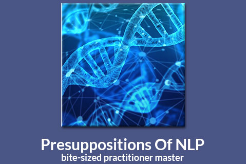 Presuppositions of NLP - Library (LOM-A03)