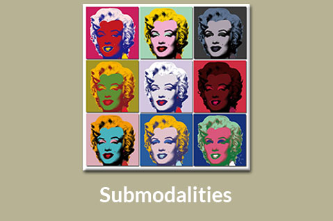 Submodalities (AST-P08)
