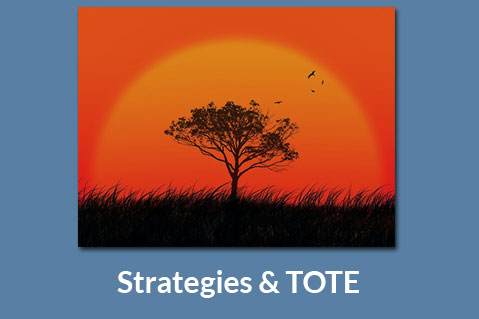 09 Strategies & TOTE (KUU-KE-PR09)