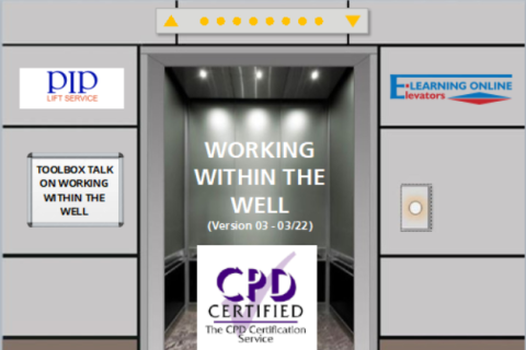 WORKING WITHIN THE WELL (PIP) (PIP08)