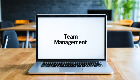 Introduction to Team Management