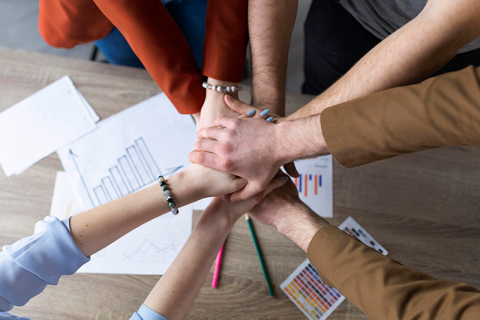 (Multilingual) Five Dysfunctions of a Team