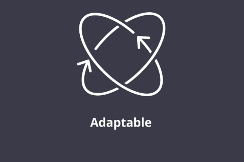 I Am Adaptable