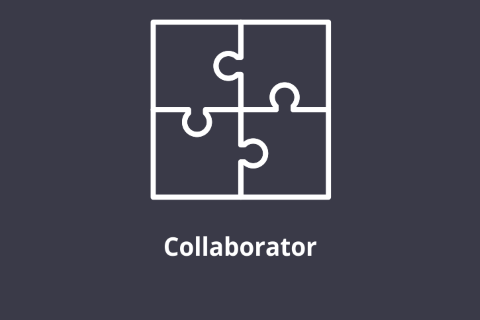 I Am a Productive Collaborator