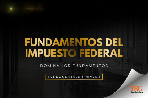 FUNDAMENTOS DEL IMPUESTO FEDERAL (001-FUND-ES)