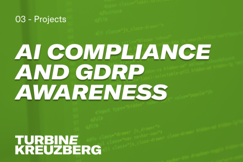AI Utilization with Focus on Data Protection, Compliance, and Risk Avoidance (AI-00)