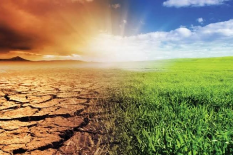 UNIPET Sustainability Policy (2026-ESG-1007)