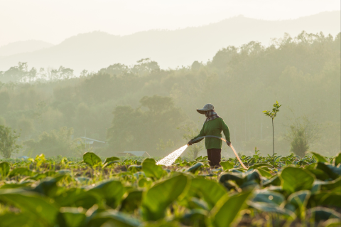E-learning for Agri-Suppliers: Identifying and Responding to Forced Labor in Agriculture