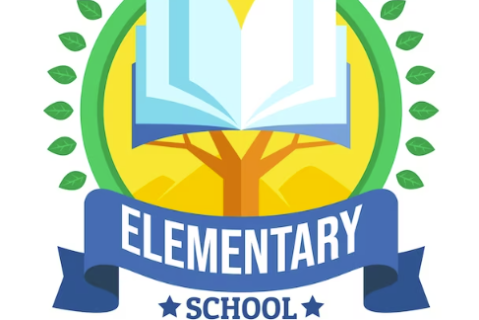 Elementary & Middle School Rep Training