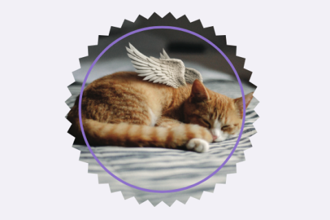 Programme Distinction PARTIR AVEC DIGNITÉ