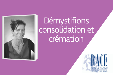 Démystifions consolidation et crémation