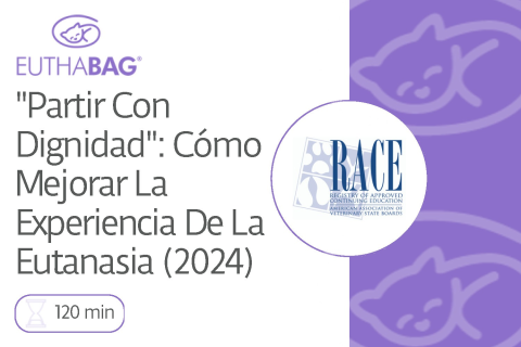 ''Partir Con Dignidad'': Cómo Mejorar La Experiencia De La Eutanasia