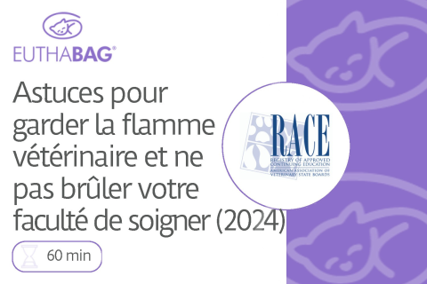 Astuces pour garder la flamme vétérinaire et ne pas brûler votre faculté de soigner (2024)