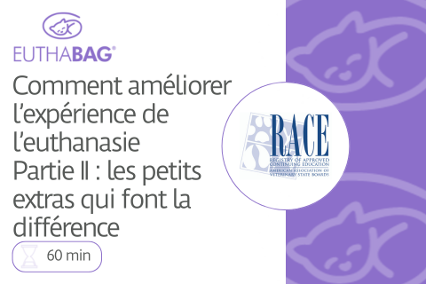 Comment améliorer l'expérience de l'euthanasie Partie II : les petits extras qui font la différence