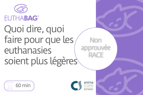 Quoi dire, quoi faire pour que les euthanasies soient plus légères (Animacare)