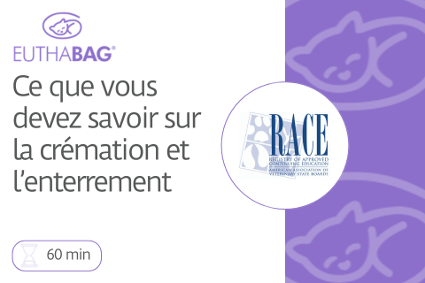 Ce que vous devez savoir sur la crémation et l'enterrement